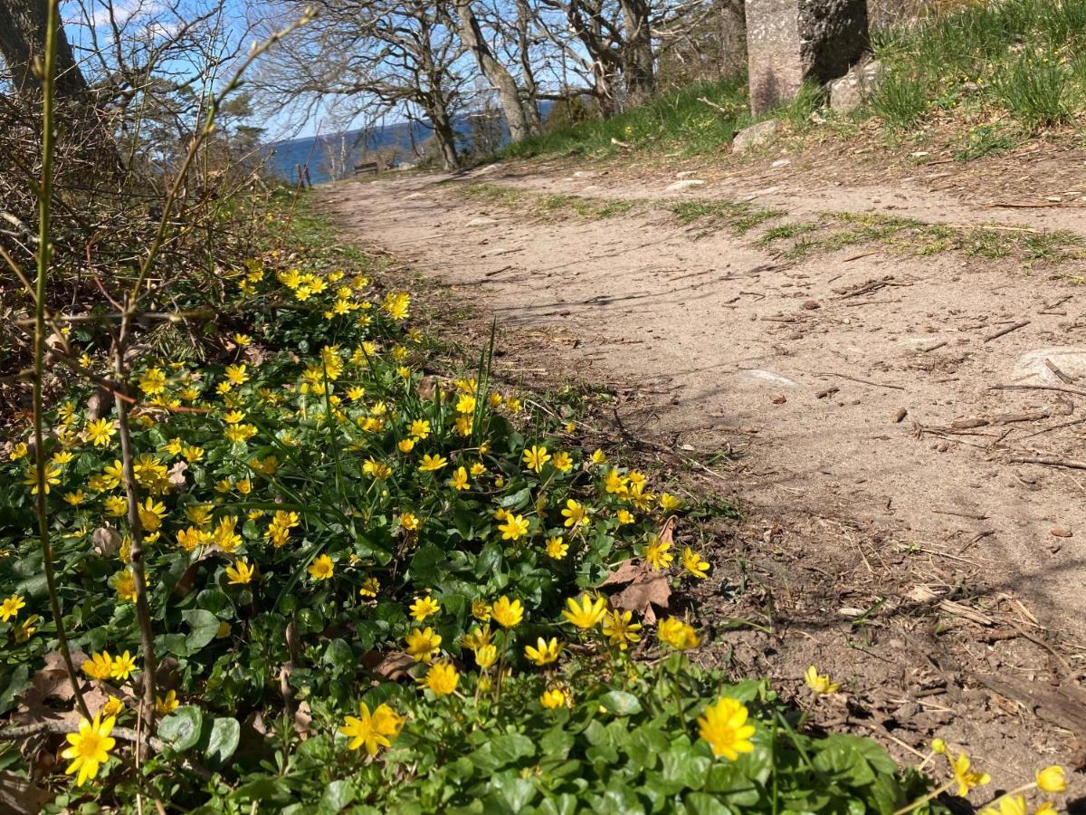 Gunnabo Βίλα Borgholm Εξωτερικό φωτογραφία